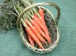 carrots