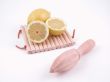 lemon squeezer