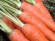 carrots