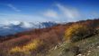 Spring mountains landscape