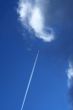 The airplane flies in the sky