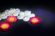 Unique background / flowers