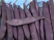 string beans
