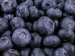 blueberries background