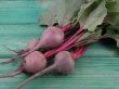 beetroot
