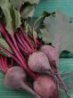 beetroot