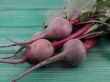 beetroot