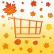 Shopping cart