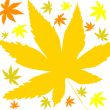 Autumn leaves