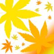 Autumn leaves