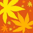 Autumn leaves