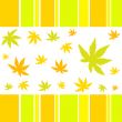 Autumn leaves