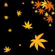 Autumn leaves