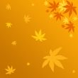 Autumn leaves
