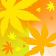 Autumn leaves