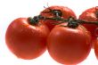 tomatos