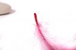 rock and pink feather