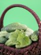 cucumbers