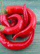 hot and spicy