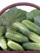 cucumbers