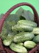 cucumbers