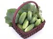 cucumbers