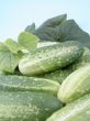 cucumbers
