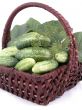 cucumbers