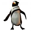 Penguin dancer