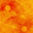Background of cilla rays