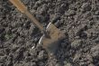 Digging