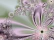Pastel Flowers