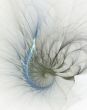 Spiral Tear