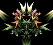 Budding Arrangement