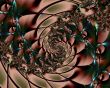 Rooted spiral