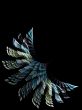 Fractal Feather