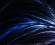 Organic Blue