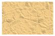 Crumpled brown paper