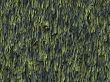 Organic background