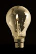 Lightbulb
