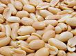 Peanuts