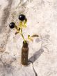 Two black berries