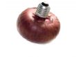  red onions