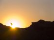 seagull and the sun