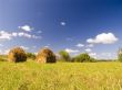 Landscape with haystacks