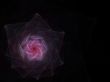 Spiral Petals