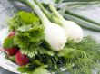 Vegetable still-life