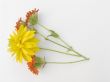 Flower still-life