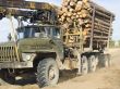 The timber carrying vessel