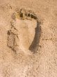 Trace of a leg